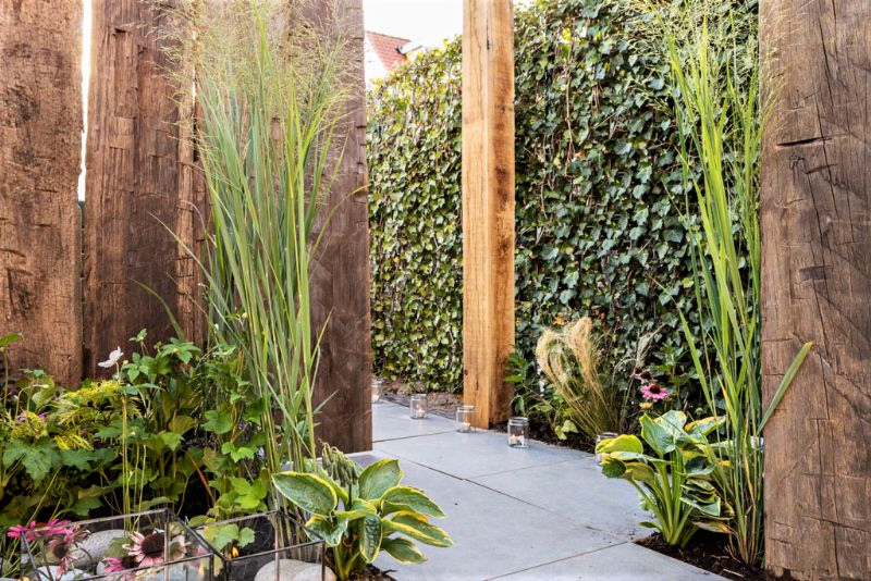 Ivy Screen Hedera helix Woerner (180cm high x 120cm wide)